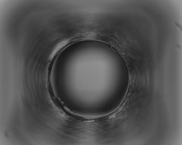 X0000091910054200709121525