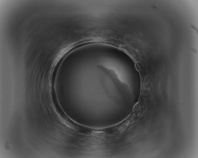 X0000091910055200709121525