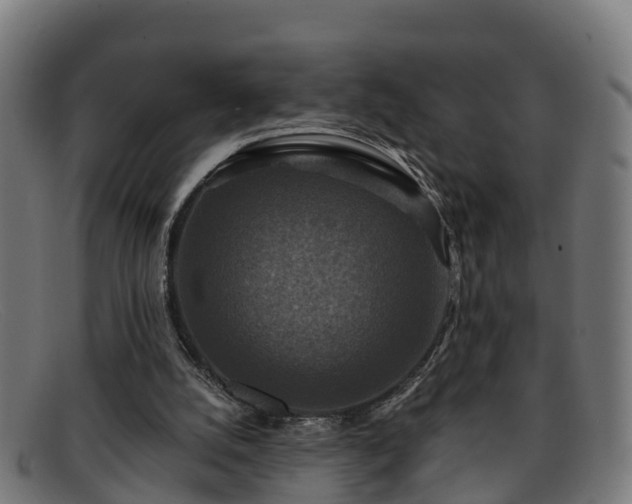 X0000091910056200709121525