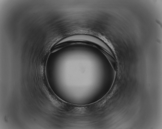 X0000091910057200709121525