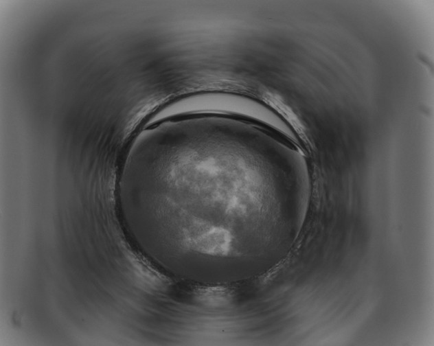 X0000091910058200709121525