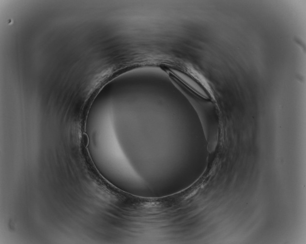 X0000091910059200709121525