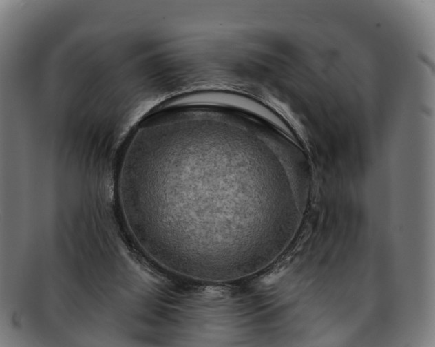 X0000091910060200709121525