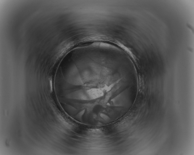 X0000091910061200709121525