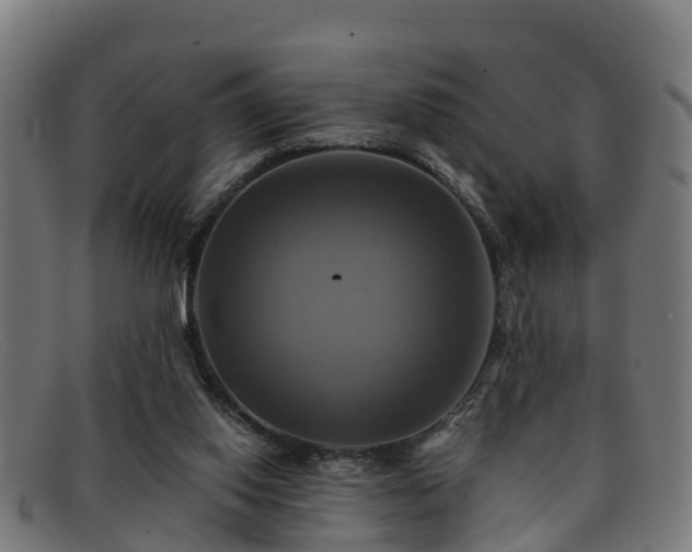 X0000091910062200709121525