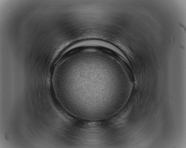 X0000091910064200709121525