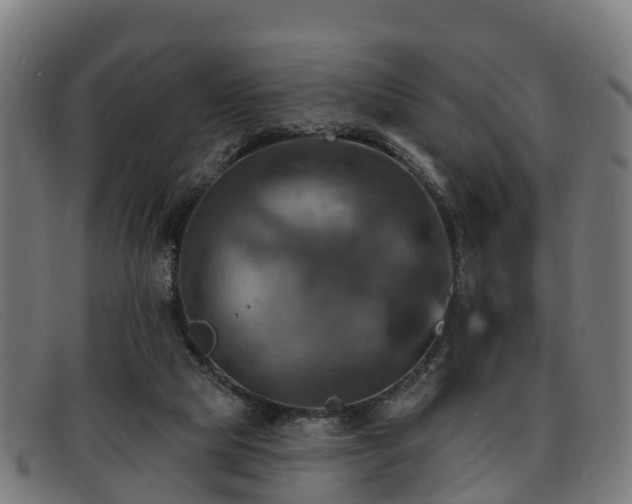 X0000091910065200709121525