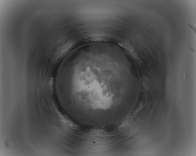 X0000091910066200709121525