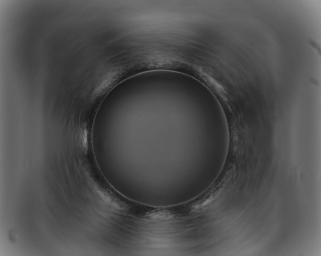 X0000091910067200709121525