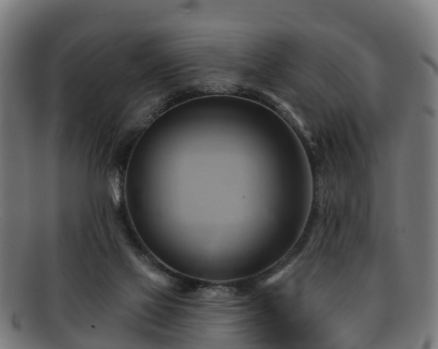 X0000091910069200709121525