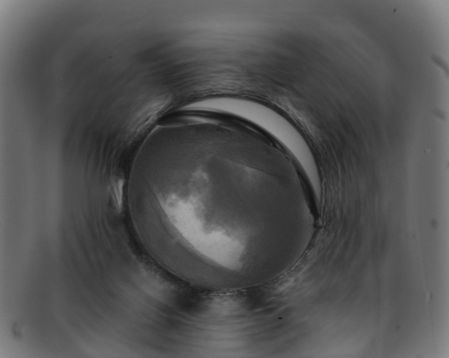 X0000091910070200709121525