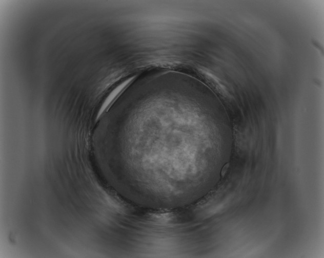 X0000091910071200709121525