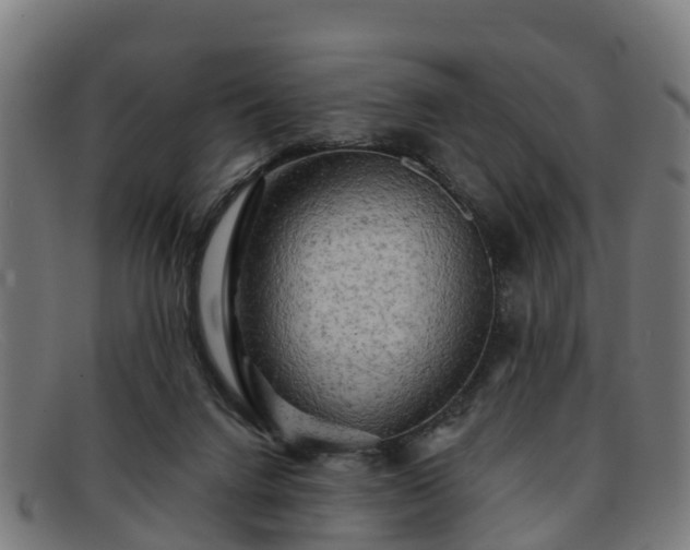 X0000091910072200709121525