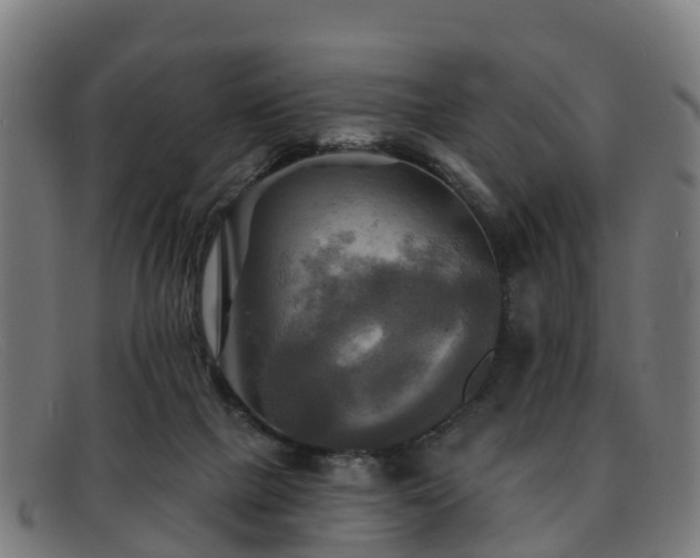 X0000091910073200709121525