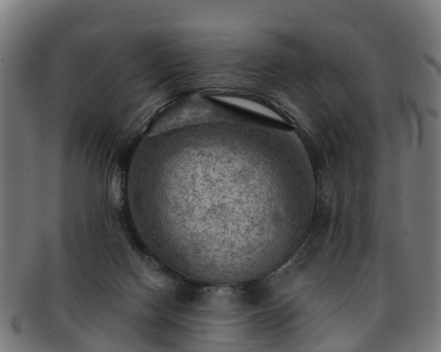 X0000091910074200709121525