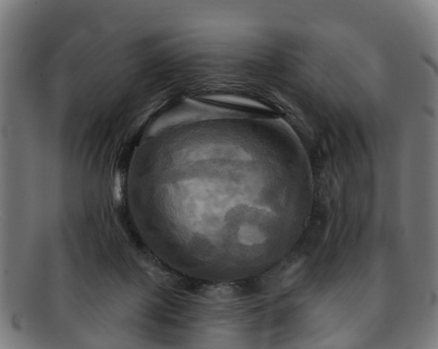 X0000091910075200709121525