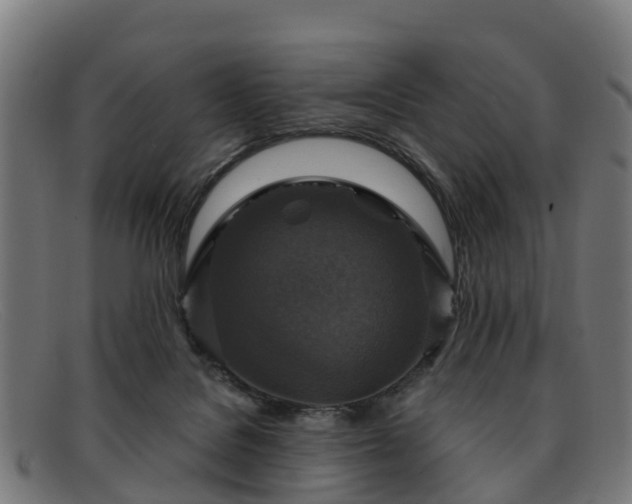 X0000091910076200709121525