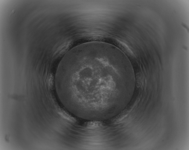 X0000091910077200709121525