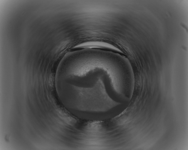 X0000091910078200709121525