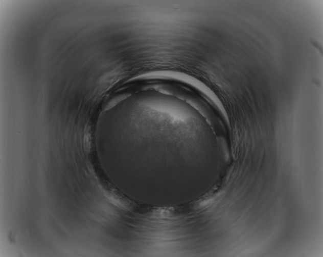 X0000091910080200709121525