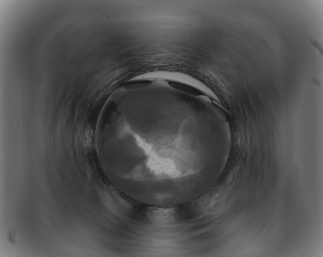 X0000091910081200709121525