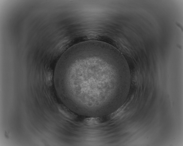 X0000091910082200709121525