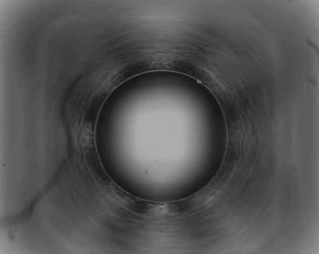 X0000091910083200709121525