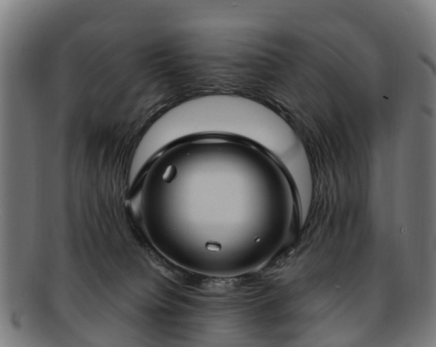 X0000091910084200709121525