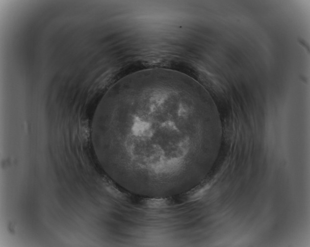 X0000091910085200709121525