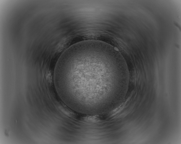 X0000091910086200709121525