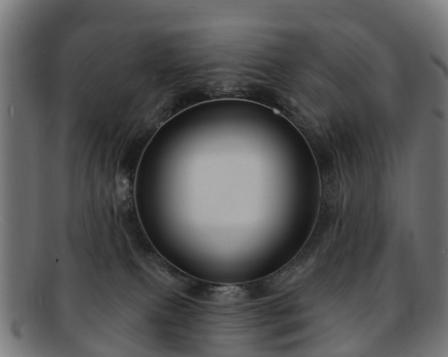 X0000091910087200709121525