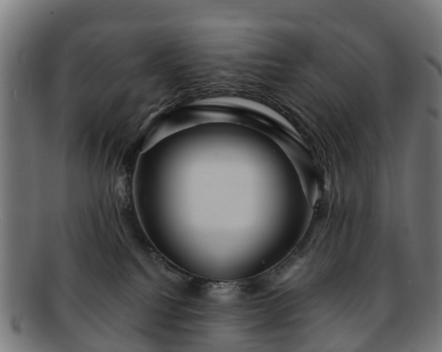 X0000091910088200709121525