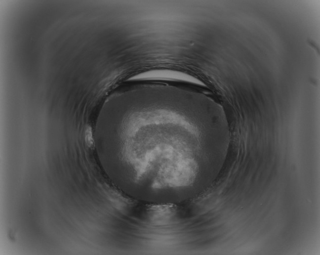 X0000091910089200709121525