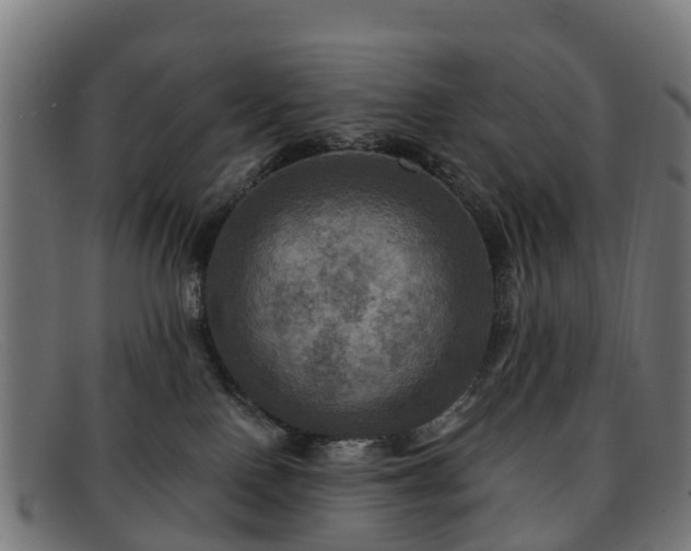 X0000091910090200709121525