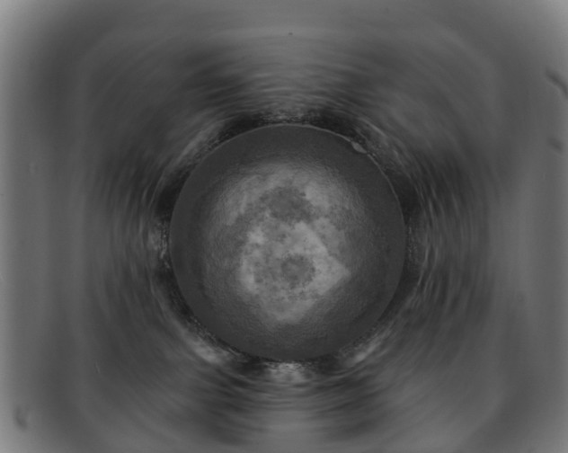 X0000091910091200709121525