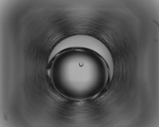 X0000091910092200709121525