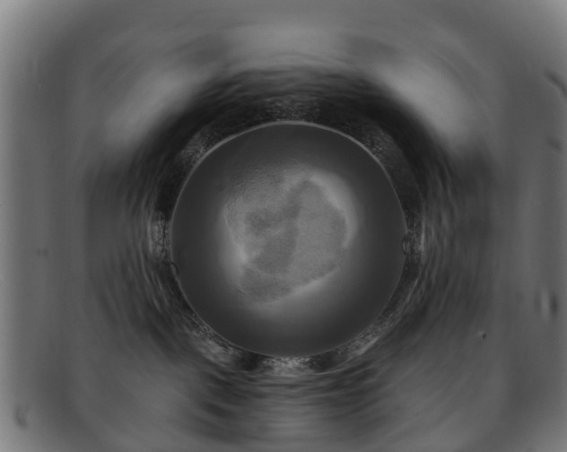 X0000091910093200709121525