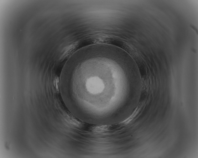 X0000091910094200709121525