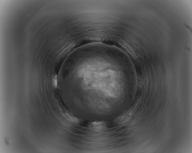 X0000091910095200709121525