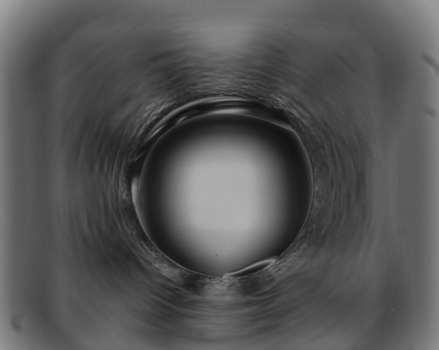 X0000091910096200709121525