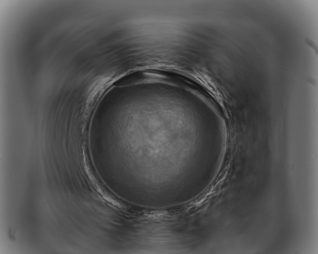 X0000091910097200709121525