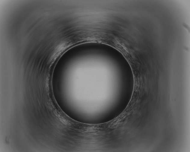 X0000091910098200709121525