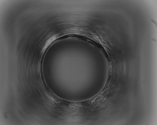 X0000091910099200709121525