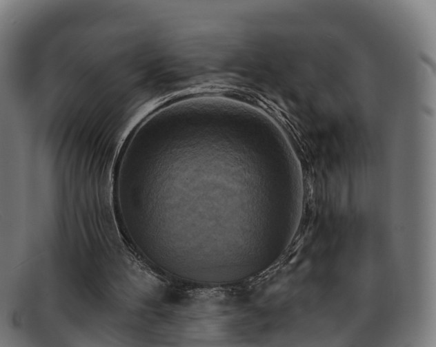 X0000091910100200709121525