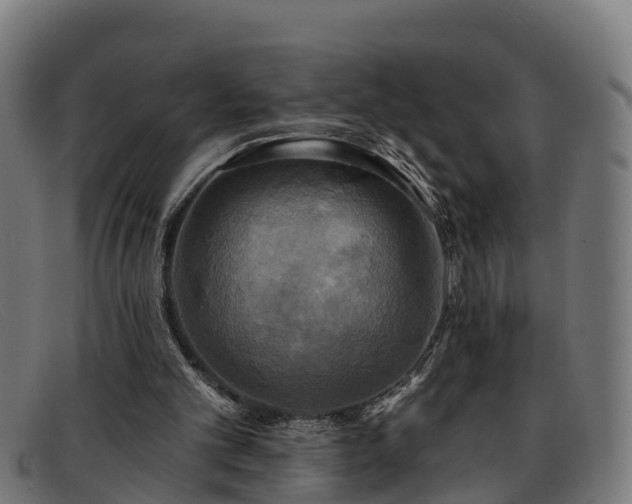 X0000091910101200709121525