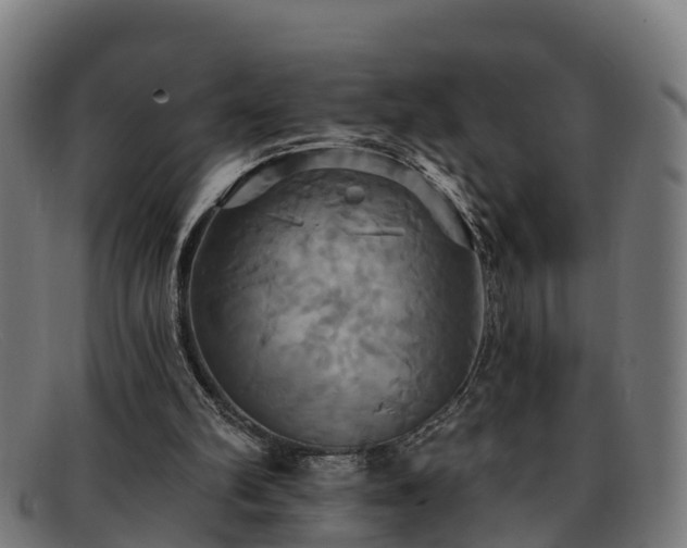 X0000091910102200709121525