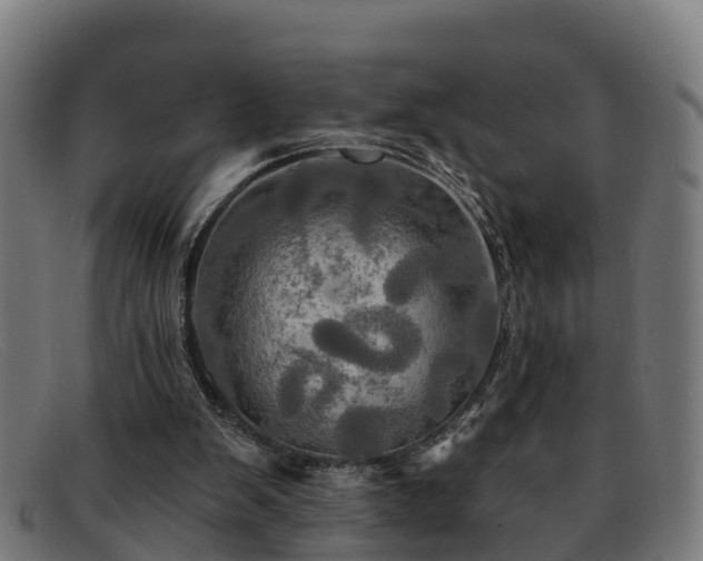 X0000091910103200709121525