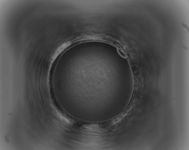 X0000091910104200709121525