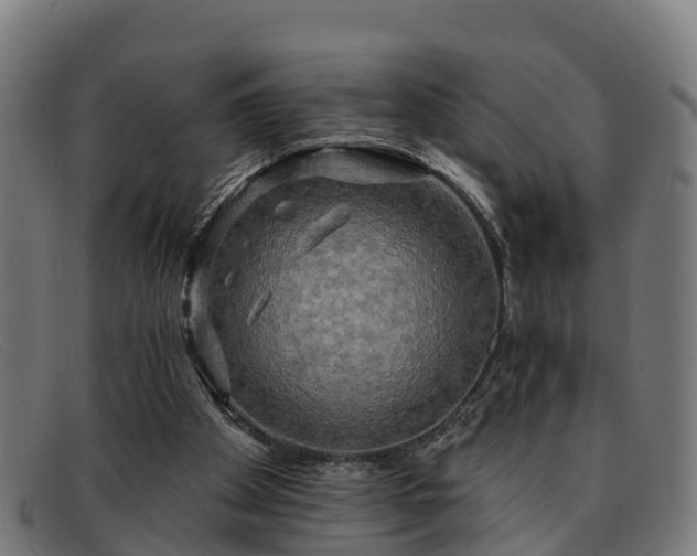 X0000091910105200709121525