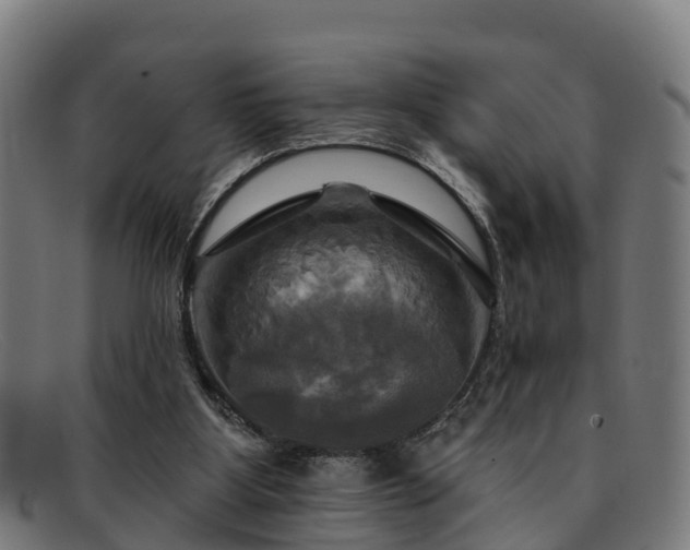 X0000091910107200709121525